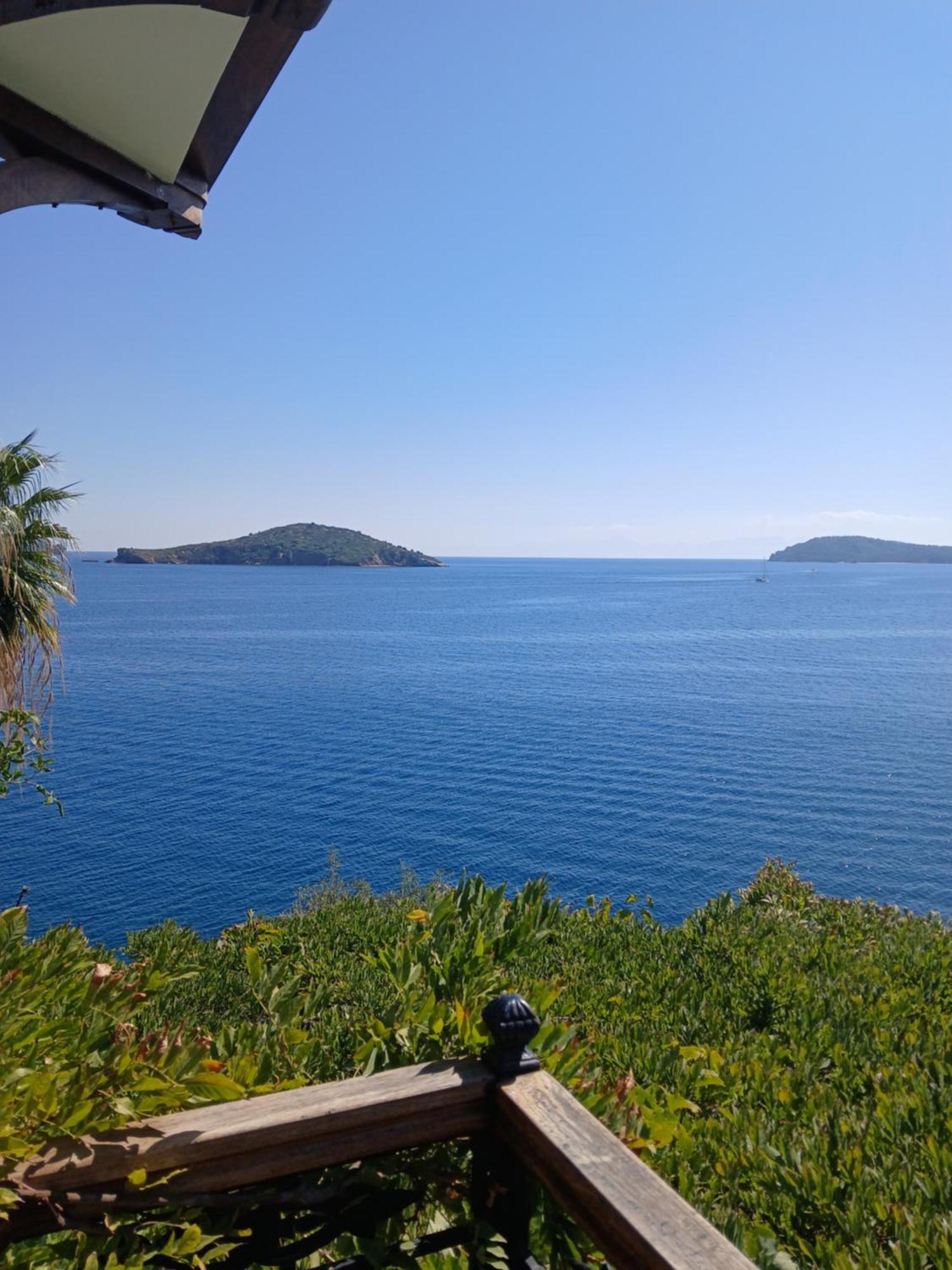 Hotel Villa Orsa Скиатос Екстериор снимка