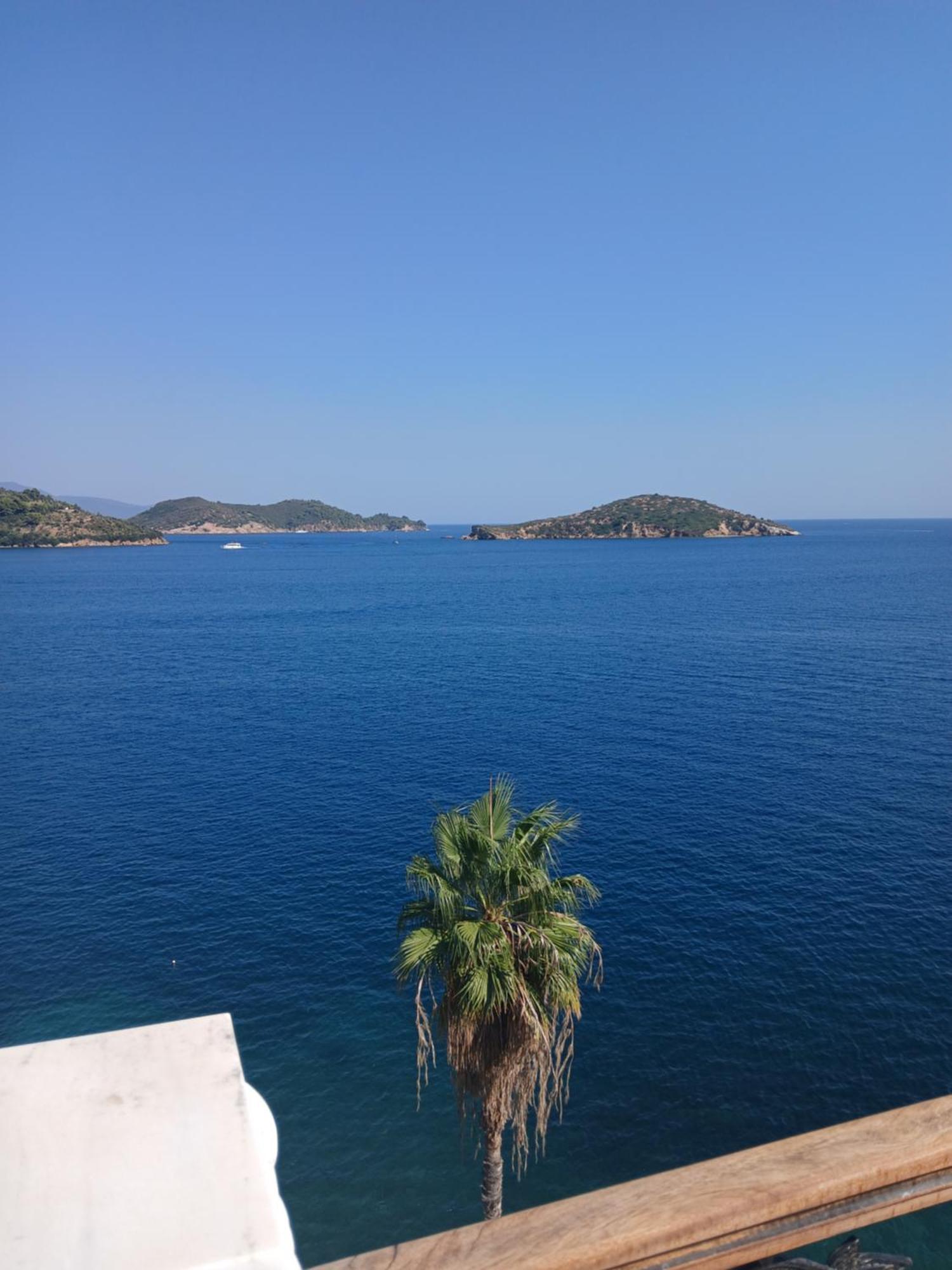Hotel Villa Orsa Скиатос Екстериор снимка